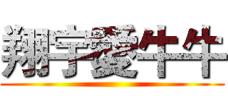 翔宇愛牛牛 ()
