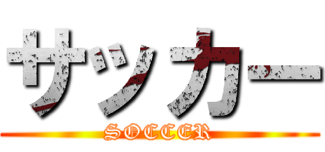 サッカー (SOCCER)