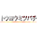 トウヨウミツバチ (Apis cerana)