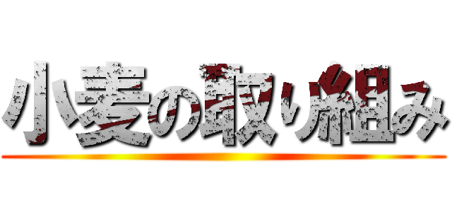 小麦の取り組み ()