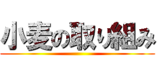 小麦の取り組み ()