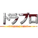 ドラプロ (dragon project)