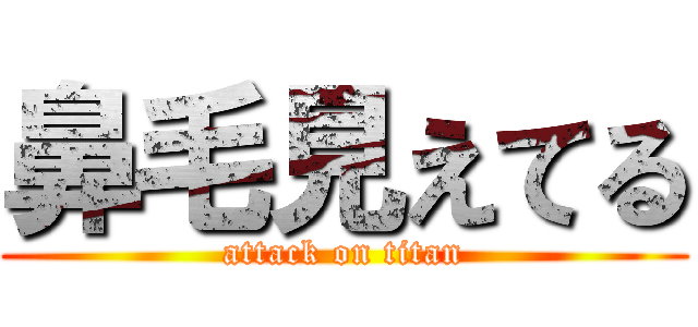 鼻毛見えてる (attack on titan)