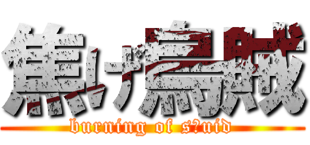 焦げ烏賊 (burning of sｑuid)