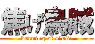 焦げ烏賊 (burning of sｑuid)