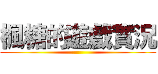 楓糖的遊戲實況 ()