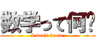 数学って何⁈ (I don’t know )