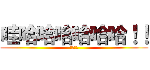 哇哈哈哈哈哈哈！！ (哈哈！！)