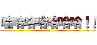 哇哈哈哈哈哈哈！！ (哈哈！！)