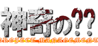 神奇の专业 (PROJECT MANAGEMENT)