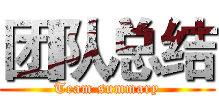 团队总结 (Team summary)