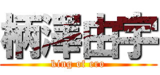 柄澤由宇 (king of ero)