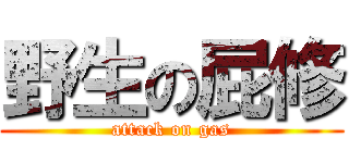 野生の屁修 (attack on gas)