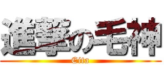 進撃の毛神 (Eita)