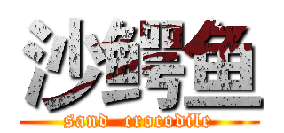 沙鳄鱼 (sand  crocodile)