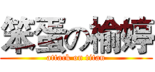 笨蛋の榆婷 (attack on titan)