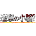 進撃の小腦咪 (god bless you)