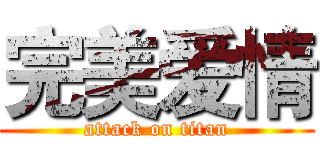 完美爱情 (attack on titan)