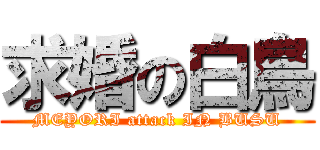 求婚の白鳥 (MEYORI attack IN BUSU)