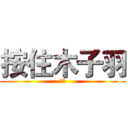 按住木子羽 (坑人)