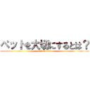 ペットを大切にするとは？ (petto taisetu)
