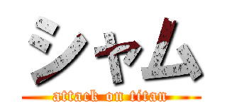 シャム (attack on titan)