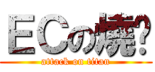 ＥＣの燒烤 (attack on titan)