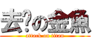 去你の金魚 (attack on titan)