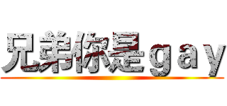 兄弟你是ｇａｙ ()