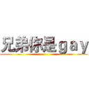 兄弟你是ｇａｙ ()
