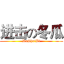 进击の冬瓜 (DaShuiBi)