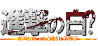 進撃の白貓 (Attack on whiteCAT)
