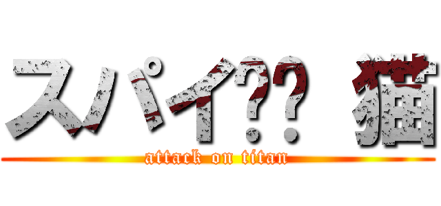 スパイ✖︎ 猫 (attack on titan)
