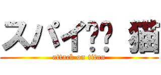 スパイ✖︎ 猫 (attack on titan)