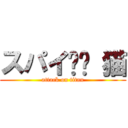 スパイ✖︎ 猫 (attack on titan)