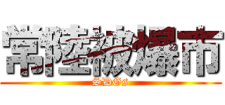 常陸被爆市 (SDGs)