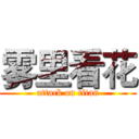 雾里看花 (attack on titan)