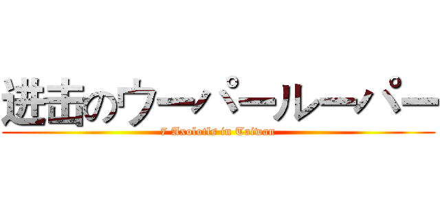 进击のウーパールーパー (7 Axolotls in Taiwan)