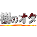 樹のオタ (なみすうあぁーん)