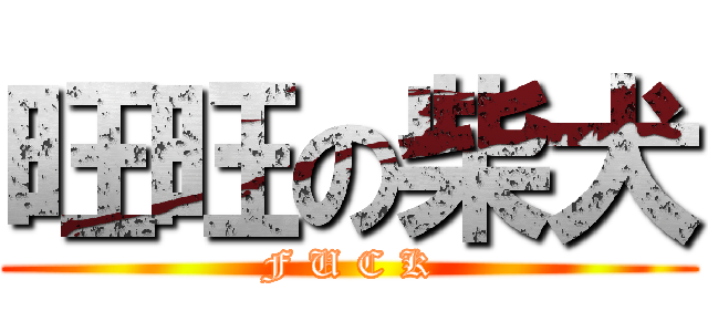 旺旺の柴犬 (F U C K)