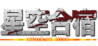 星空合宿 (attack on titan)