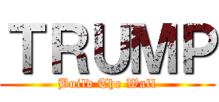 ＴＲＵＭＰ (Build The Wall)