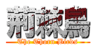 荊棘鳥 (The Thorn Birds)