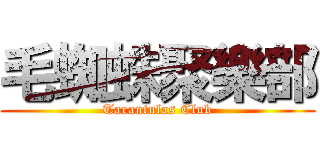 毛蜘蛛聚樂部 (Tarantulas Club)