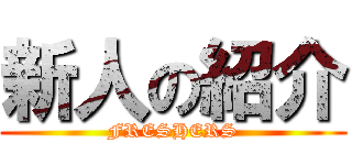 新人の紹介 (FRESHERS)