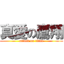 真愛の鷹翔 (attack on titan)