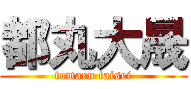 都丸大晟 (tomaru taisei)