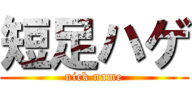短足ハゲ (nick name)