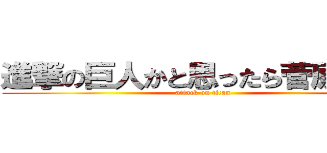 進撃の巨人かと思ったら菅原だった (attack on titan)