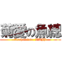 菊愛の魚總 (Assholelove WUJJ)